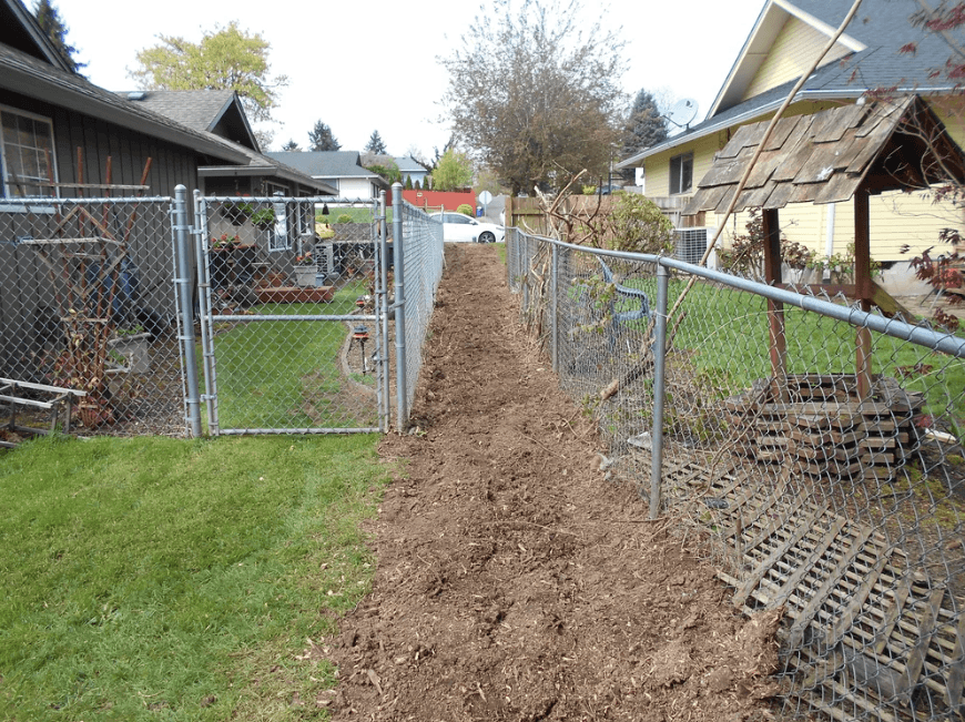 After — stump gone, fresh soil